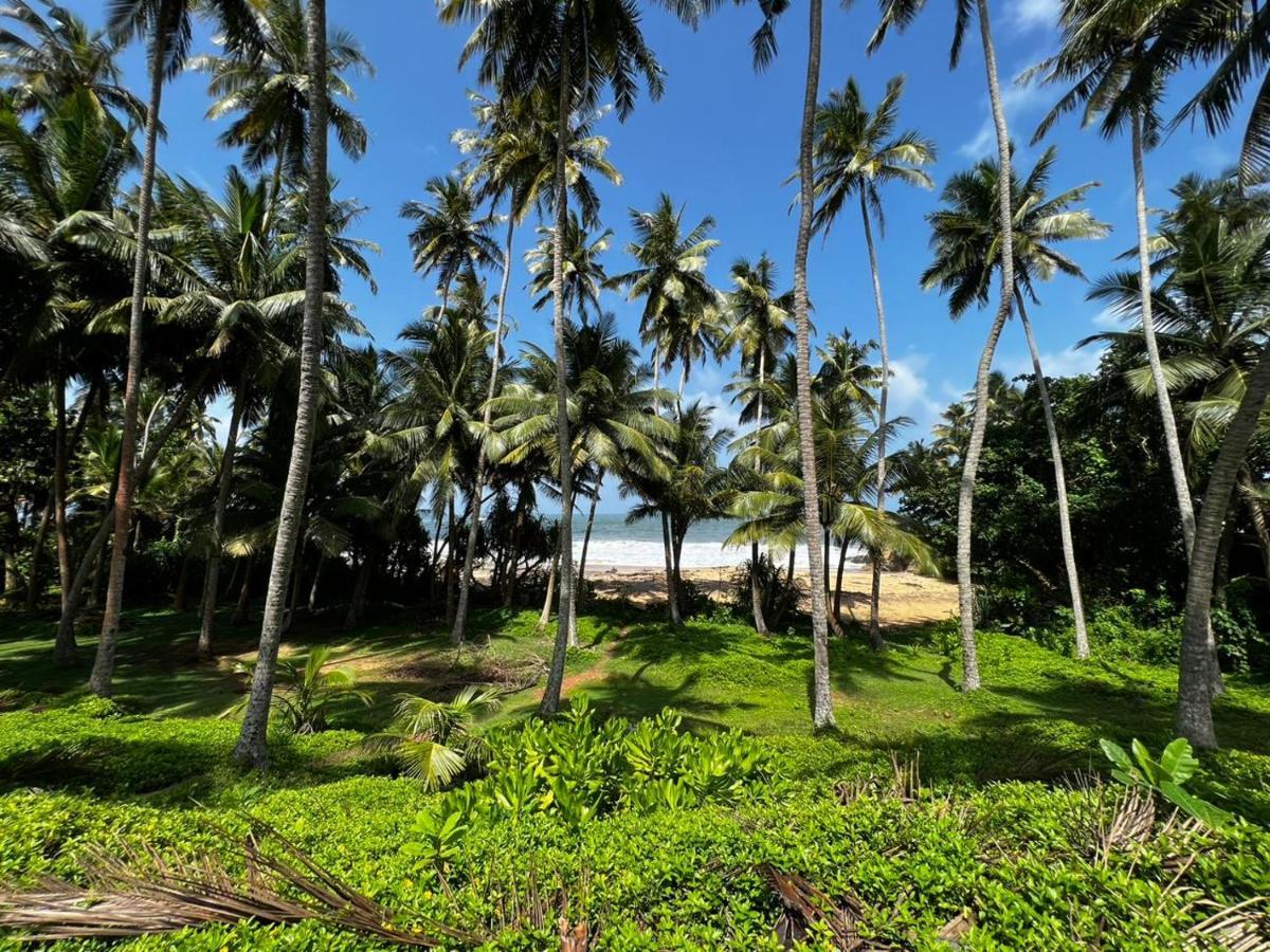 Urban Galle Villa Bagian luar foto